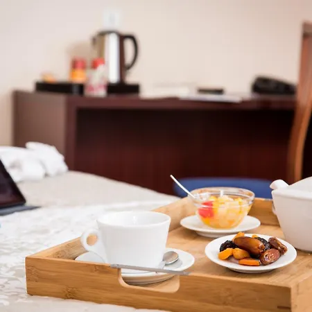 Logis Grand D'orleans Albi