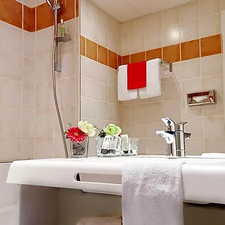 Logis Grand D'orleans Et Restaurant Le Goulu 3* Αλμπί