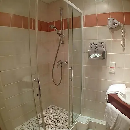 Logis Grand D'orleans Et Restaurant Le Goulu Hotel 3*