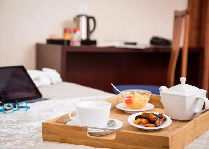 Grand D'orléans Albi