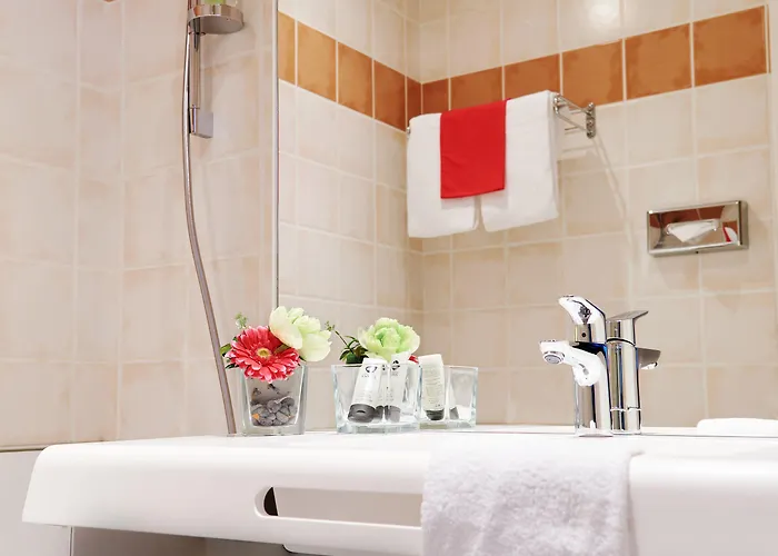 Logis Grand D'orleans 3* Albi