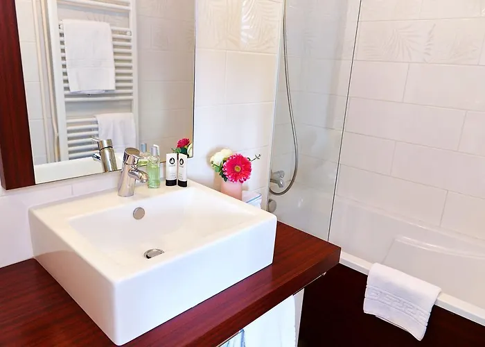 Grand D'orléans Hotel Albi